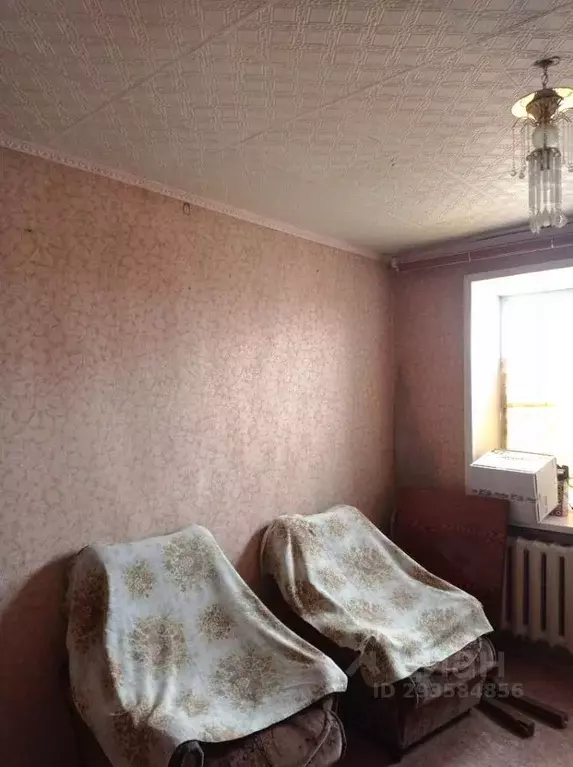 Комната Брянская область, Дятьково 12-й мкр, 2 (12.8 м) - Фото 1
