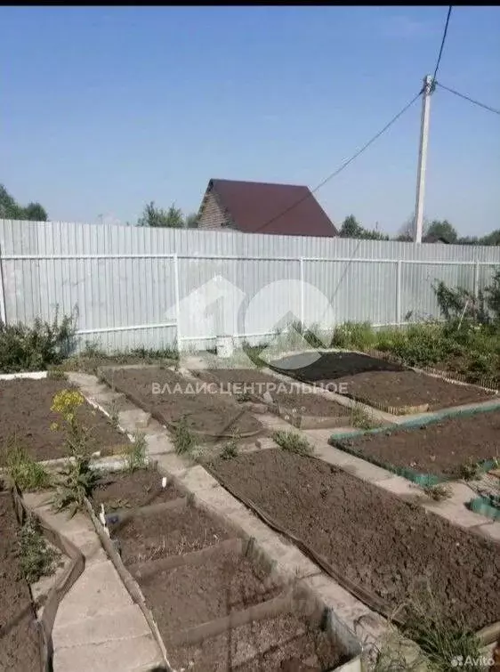 Участок в Новосибирская область, Мошковский район, Восток СНТ 21 (6.0 ... - Фото 1