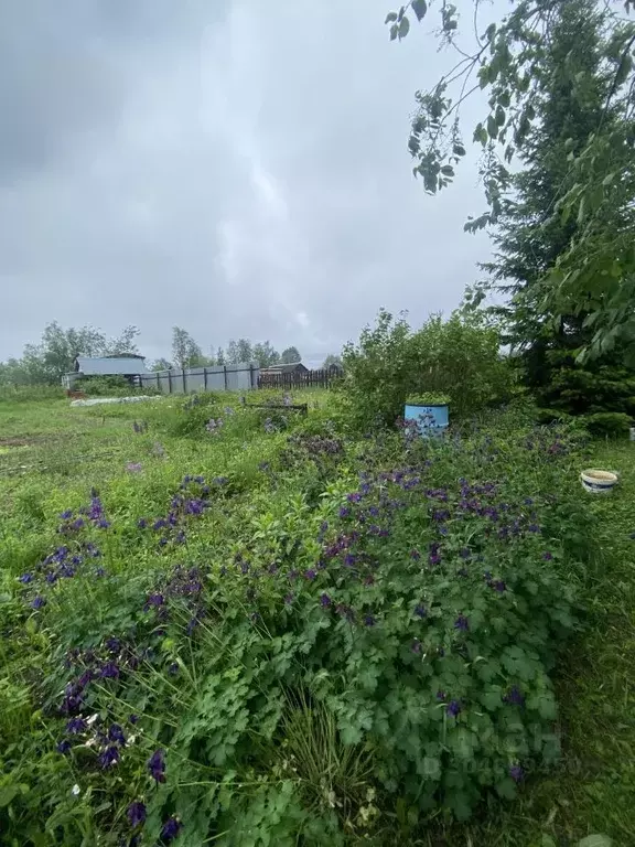 Дом в Ханты-Мансийский АО, Нижневартовск Малиновка СОНТ, 24А (48 м) - Фото 0