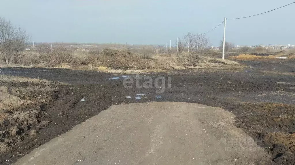 Участок в Белгородская область, Белгородский район, Дубовское с/пос, ... - Фото 1