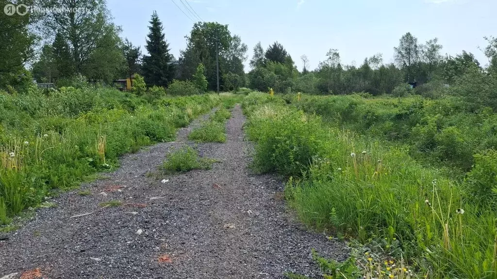 Участок в посёлок Большая Вишера, 3-я Советская улица, 5А (12 м) - Фото 1