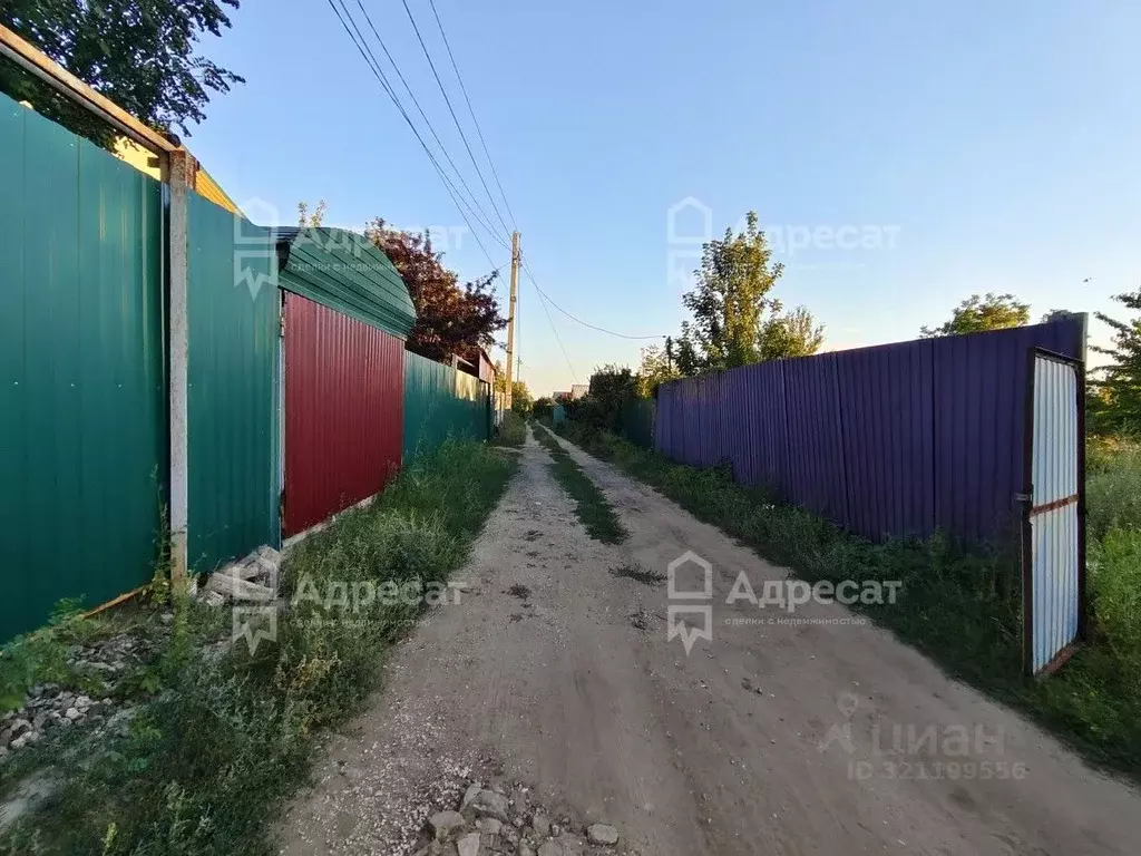 Участок в Волгоградская область, Волгоград Дзержинец СНТ, Винновский ... - Фото 0