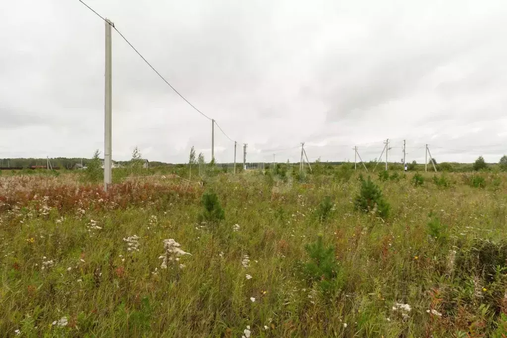 Участок в Тюменская область, Тюменский муниципальный округ, с. Кулига, ... - Фото 1