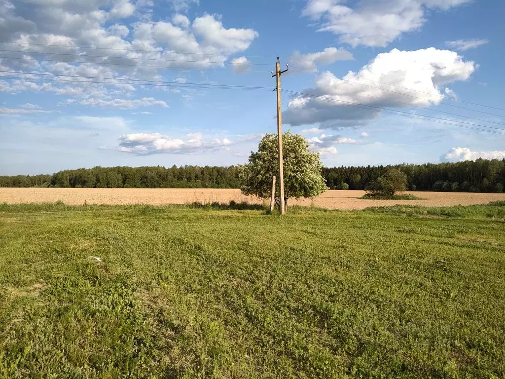 Участок в Калужская область, Жуковский муниципальный округ, д. ... - Фото 2