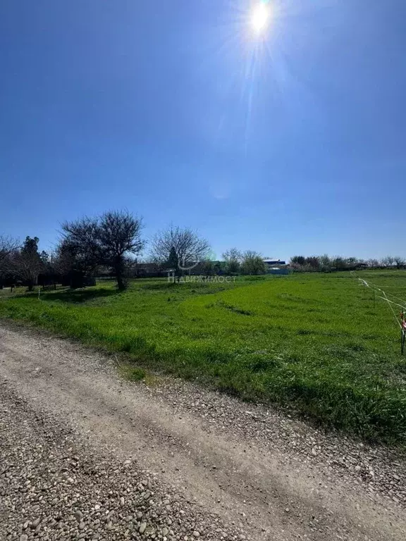 Участок в Краснодарский край, Ейский район, с. Кухаривка ул. Советов ... - Фото 1
