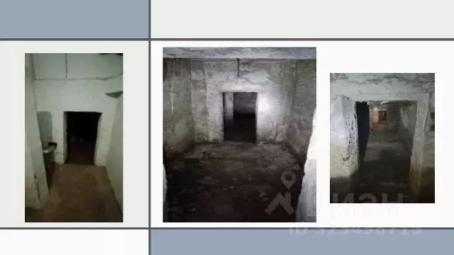 Помещение свободного назначения в Новосибирская область, Новосибирск ... - Фото 1