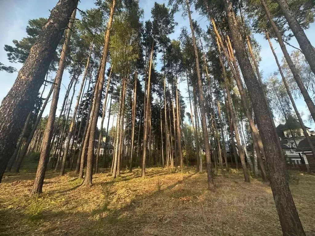 Участок в Московская область, Химки Новогорск-7 кп,  (9.0 сот.) - Фото 2