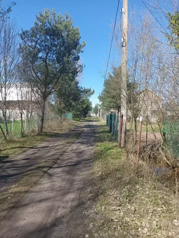 Участок 5,9 сот. (СНТ, ДНП) - Фото 1