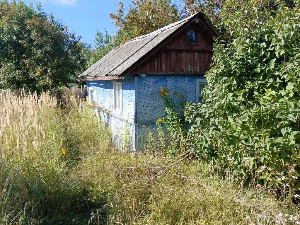 Дом в Брянская область, Брянский район, Снежское с/пос, с. Толмачево, ... - Фото 1