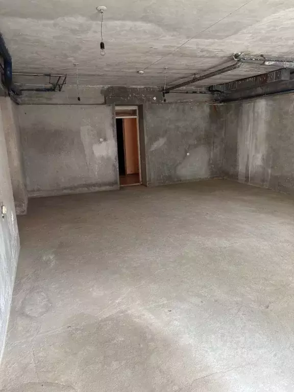 Помещение свободного назначения в Амурская область, Благовещенск ул. ... - Фото 2