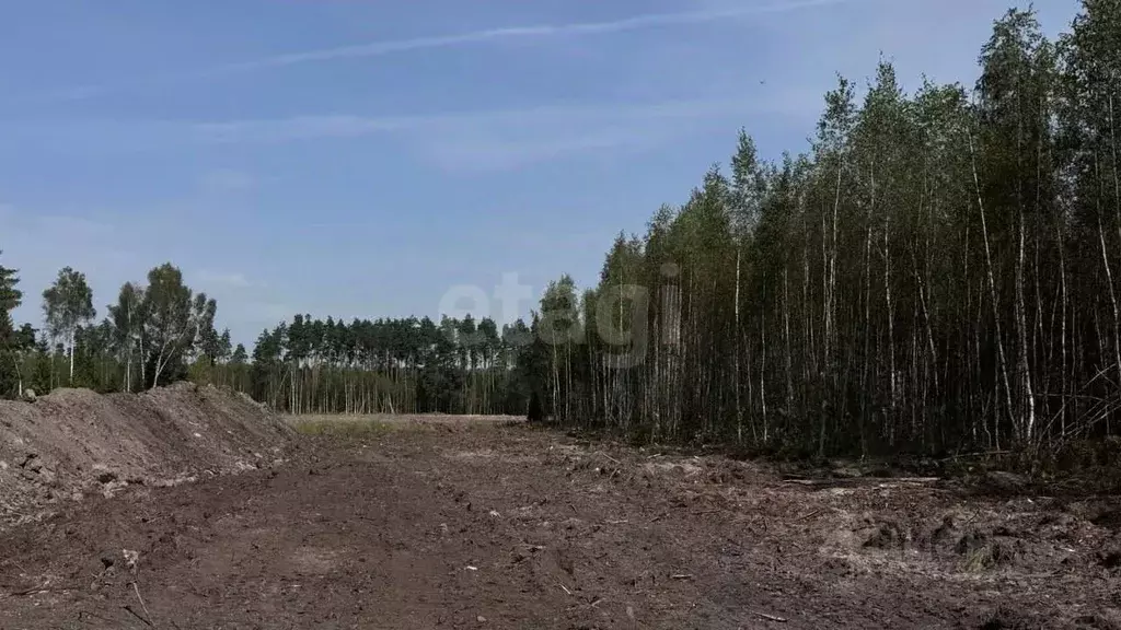 Участок в Московская область, Богородский городской округ, Щемиловские ... - Фото 1