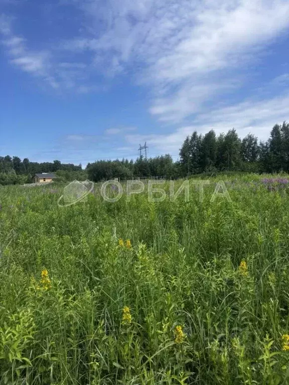 Участок в Тюменская область, Тюменский муниципальный округ, с. Чикча  ... - Фото 1