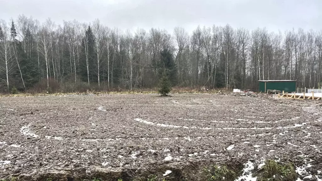 Участок в Московская область, Пушкинский городской округ, Софрино пгт ... - Фото 1