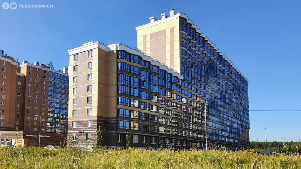 Квартира-студия: Всеволожск, шоссе Дорога Жизни, 7к2 (22.8 м) - Фото 1