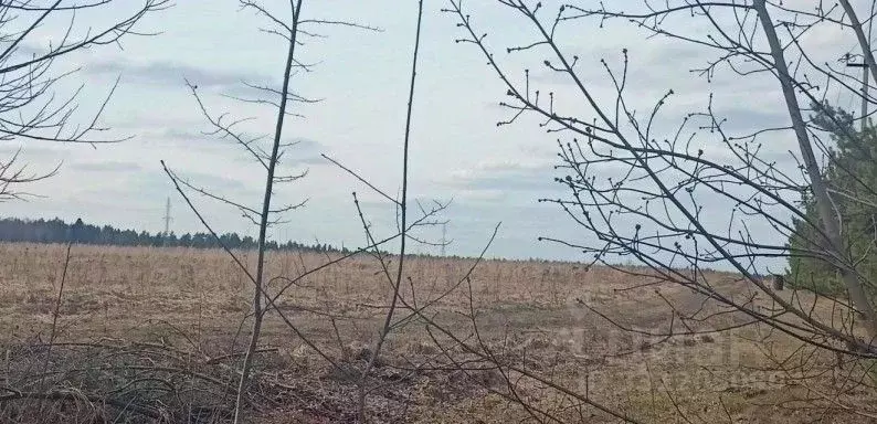 Участок в Московская область, Дмитровский муниципальный округ, д. ... - Фото 2