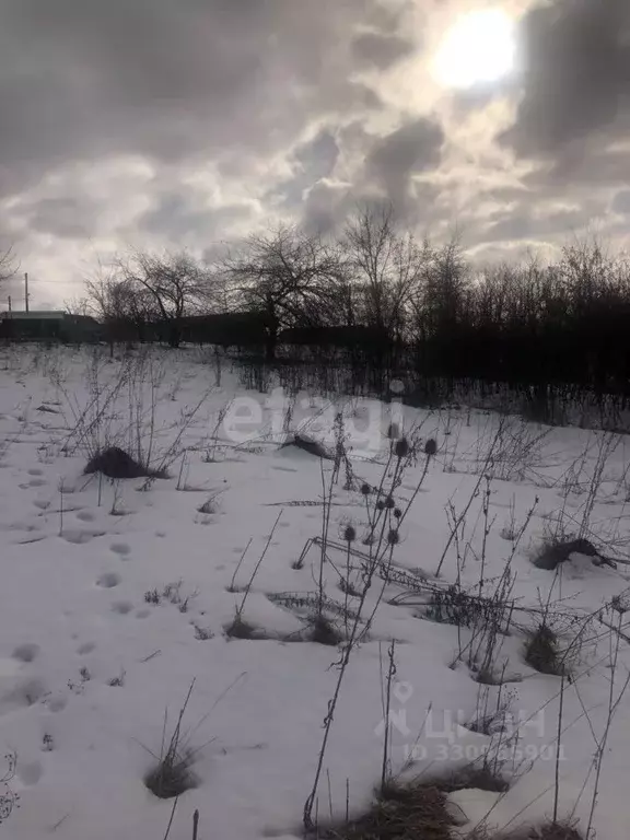 Участок в Белгородская область, Белгородский муниципальный округ, с. ... - Фото 1