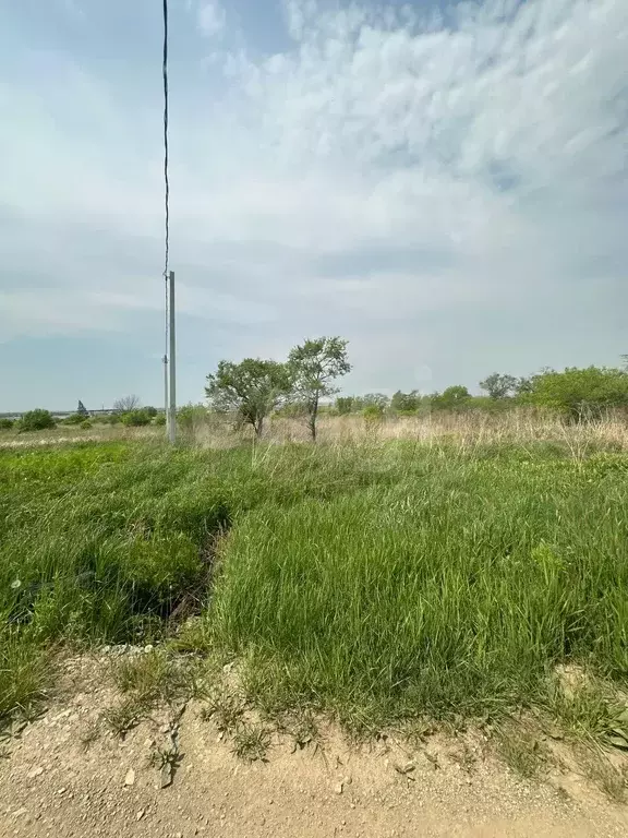 Участок, 10 сот., сельхоз (снт или днп) - Фото 1