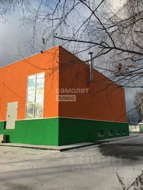 Торговая площадь в Нижегородская область, Богородский муниципальный ... - Фото 1