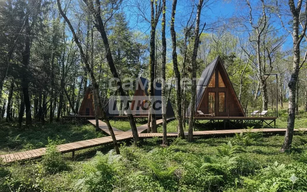 Участок в Краснодарский край, Сочи Главная ул., 28В (180.0 сот.) - Фото 1