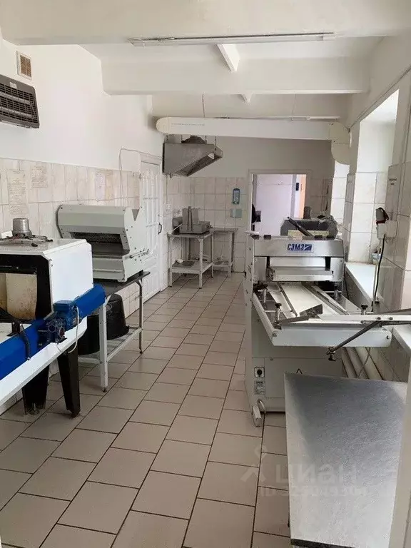 Производственное помещение в Свердловская область, Арти пгт  (900 м) - Фото 1