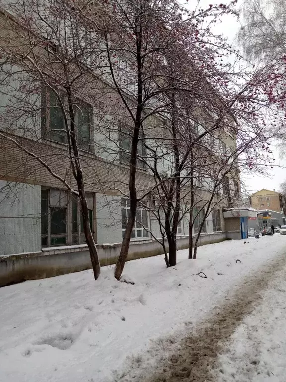 Помещение свободного назначения в Новосибирская область, Новосибирск ... - Фото 1