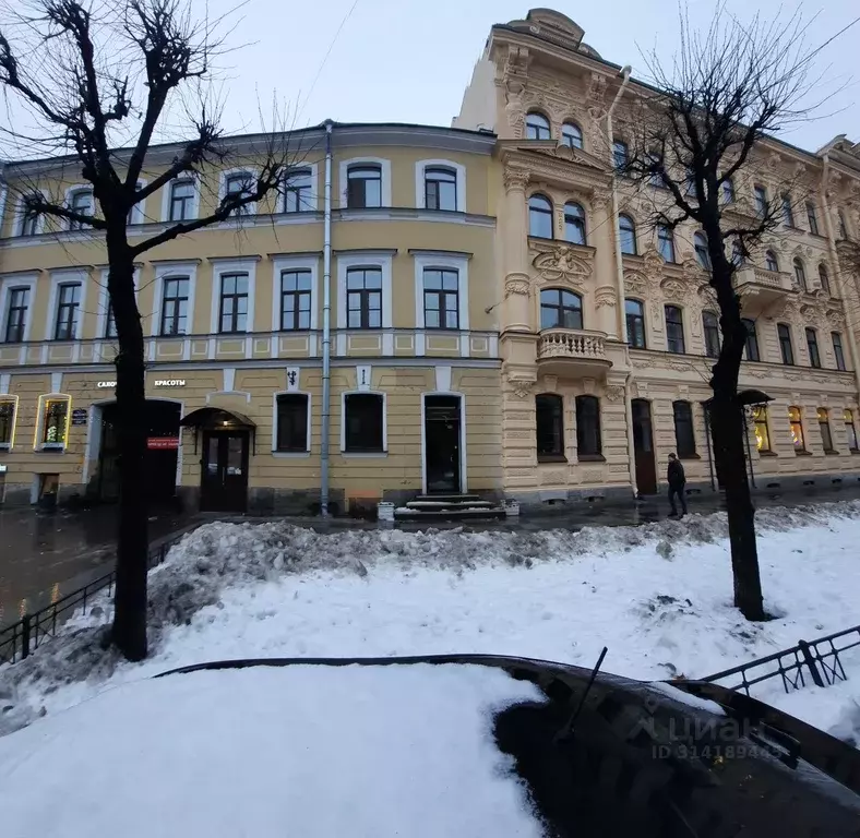 Помещение свободного назначения в Санкт-Петербург ул. Чайковского, ... - Фото 1