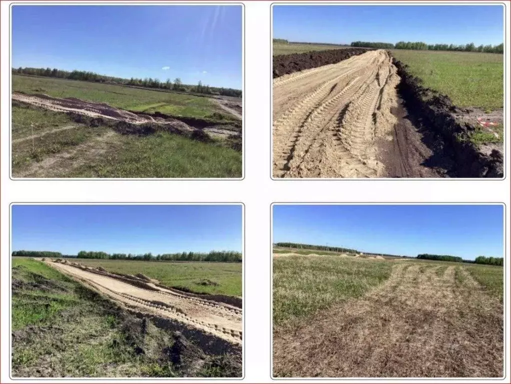 Участок в Рязанская область, Рыбновский район, Баграмовское с/пос, с. ... - Фото 2