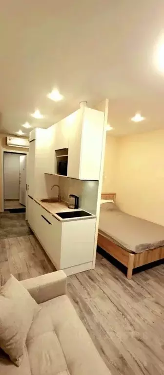 Студия Москва Производственная ул., 19к1 (22.0 м) - Фото 2