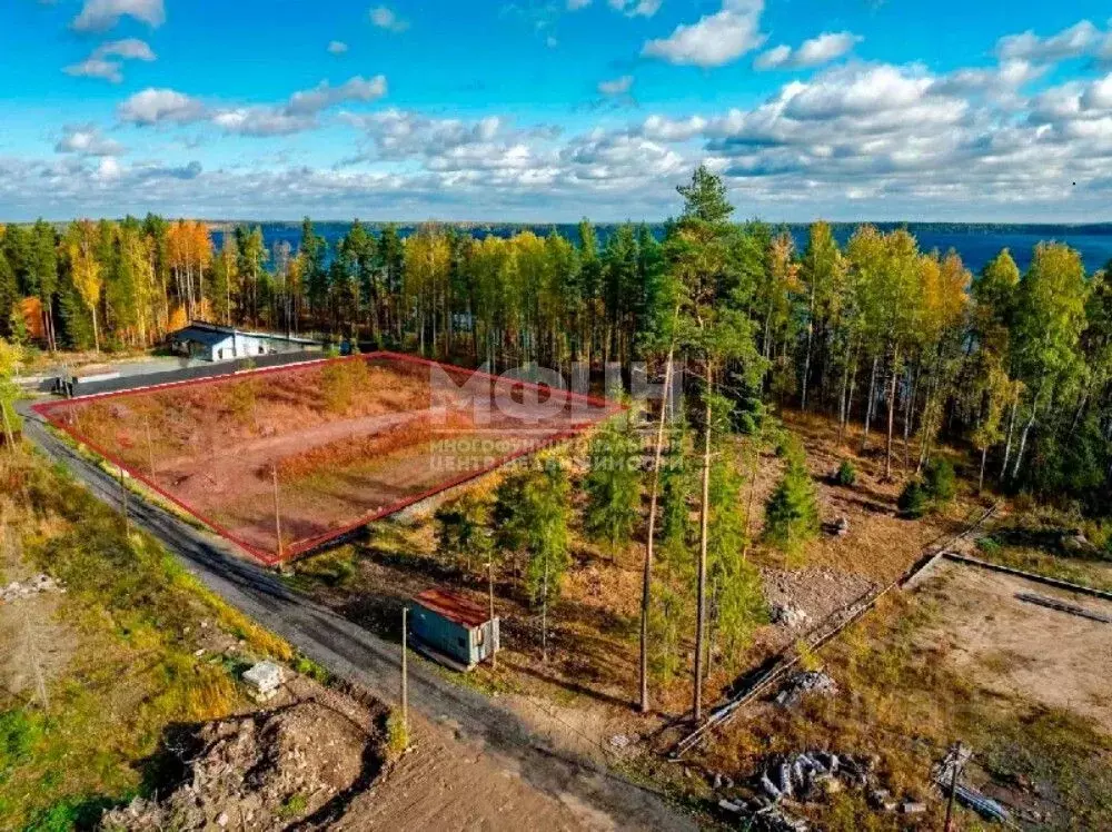 Участок в Карелия, Пряжинский район, пос. Чална, район Урозеро тер.  ... - Фото 1
