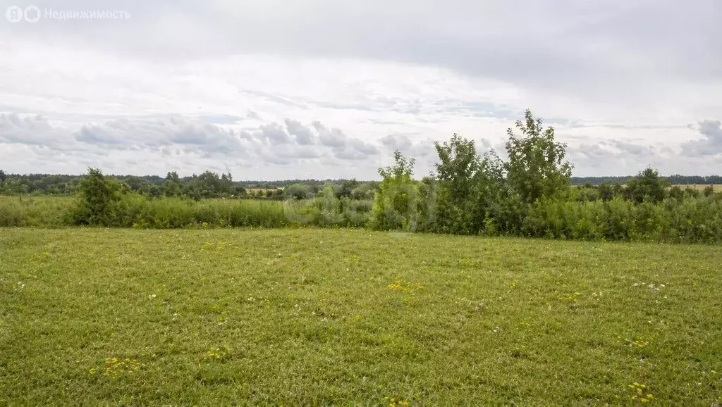 Участок в Тульская область, Венёвский муниципальный округ, село ... - Фото 2
