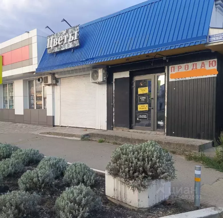 Помещение свободного назначения в Краснодарский край, Хадыженск ... - Фото 1