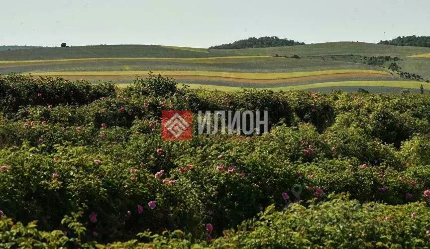 Участок в Крым, Бахчисарайский район, Скалистовское с/пос, с. ... - Фото 2