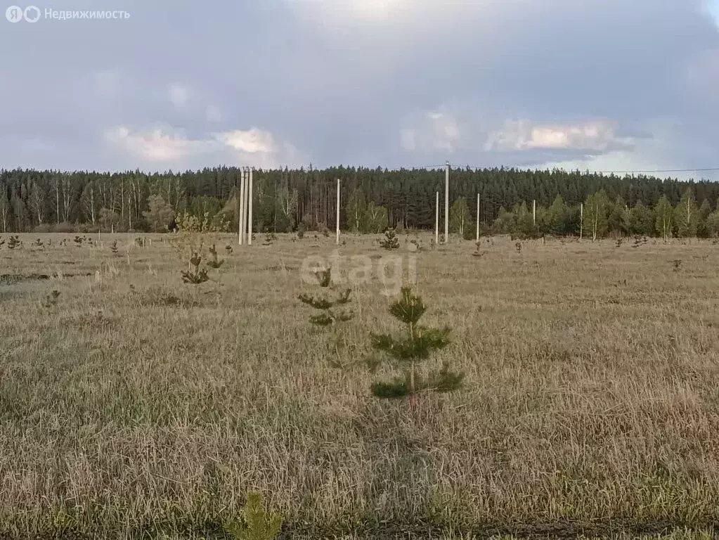 Участок в Поспеловское сельское поселение, посёлок Луговой (10 м) - Фото 0