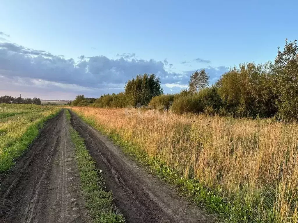 Участок в Свердловская область, Горноуральский городской округ, с. ... - Фото 0