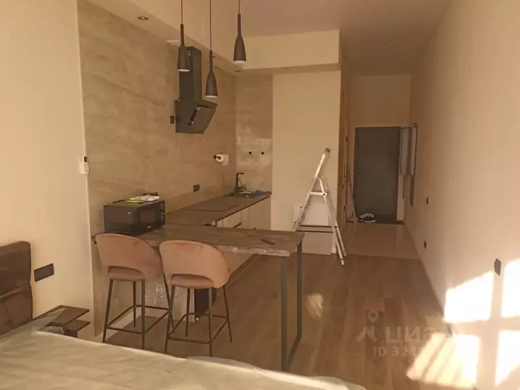 Студия Московская область, Жуковский ул. Гагарина, 3а (28.0 м) - Фото 2