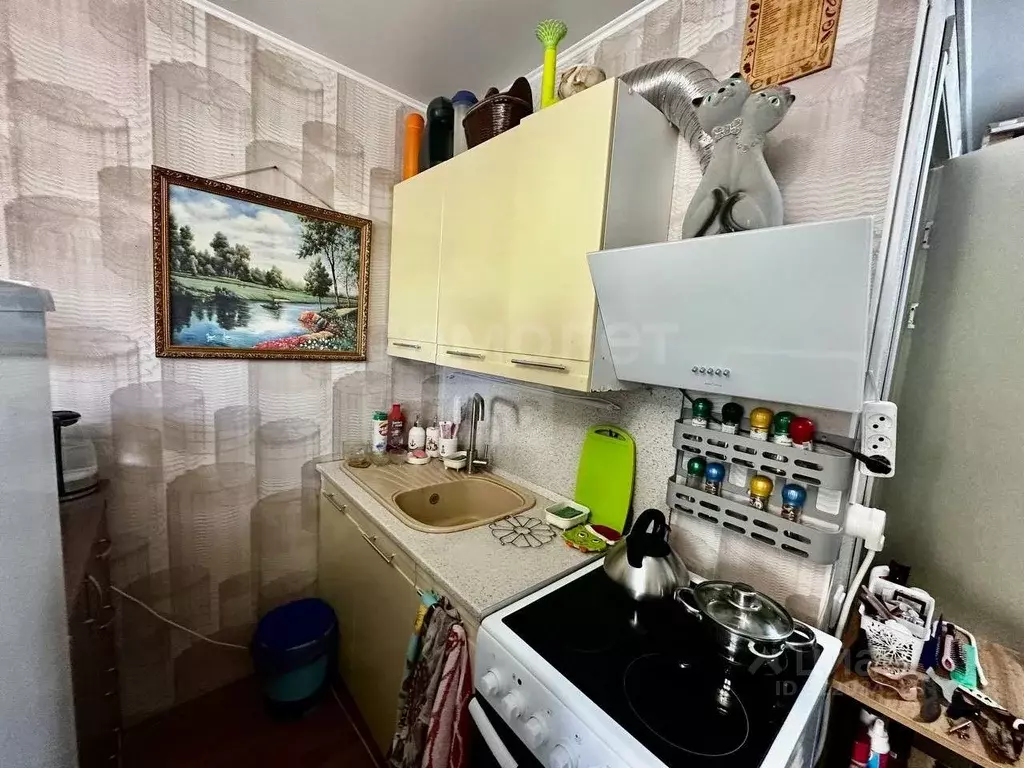 1-к кв. Оренбургская область, Оренбург Пролетарская ул., 271/1 (17.5 ... - Фото 1