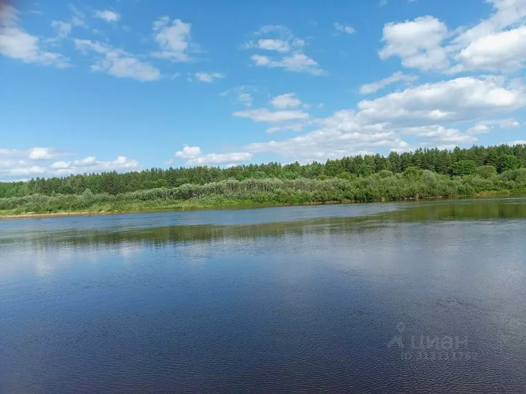 Участок в Нижегородская область, Бор  (19.0 сот.) - Фото 1