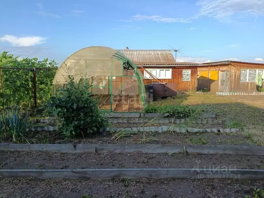 Дом в Тюменская область, Ишимский район, Деревня Большой остров ул. ... - Фото 1