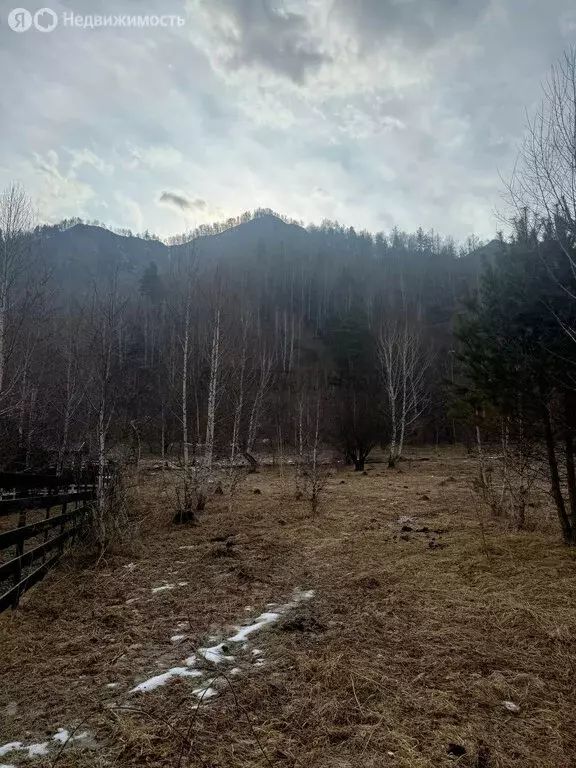 Участок в село Чемал, Кольцевая улица (16.5 м) - Фото 2