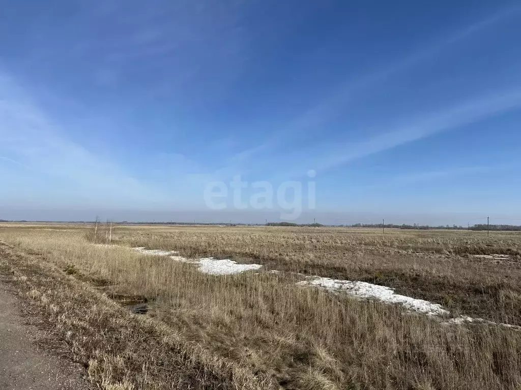 Участок в Курганская область, Белозерский муниципальный округ, с. ... - Фото 2