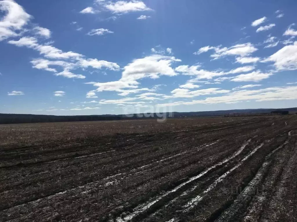 Участок в Свердловская область, Горноуральский городской округ, с. ... - Фото 0