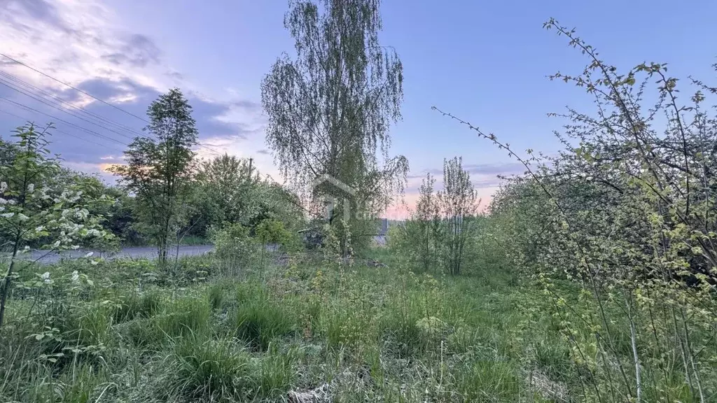 Участок в Ленинградская область, Ломоносовский район, Пениковское ... - Фото 0