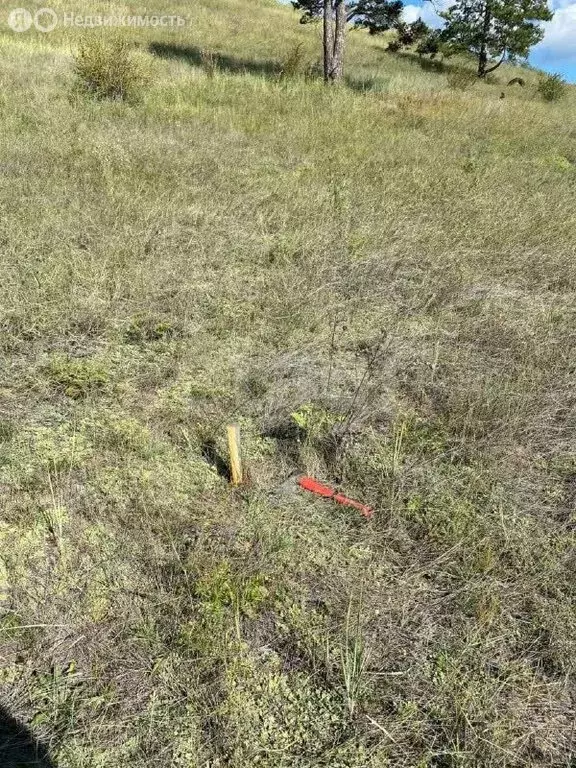 Участок в село Нижний Саянтуй, ДНТ Космос, 6-й квартал (13.95 м) - Фото 2