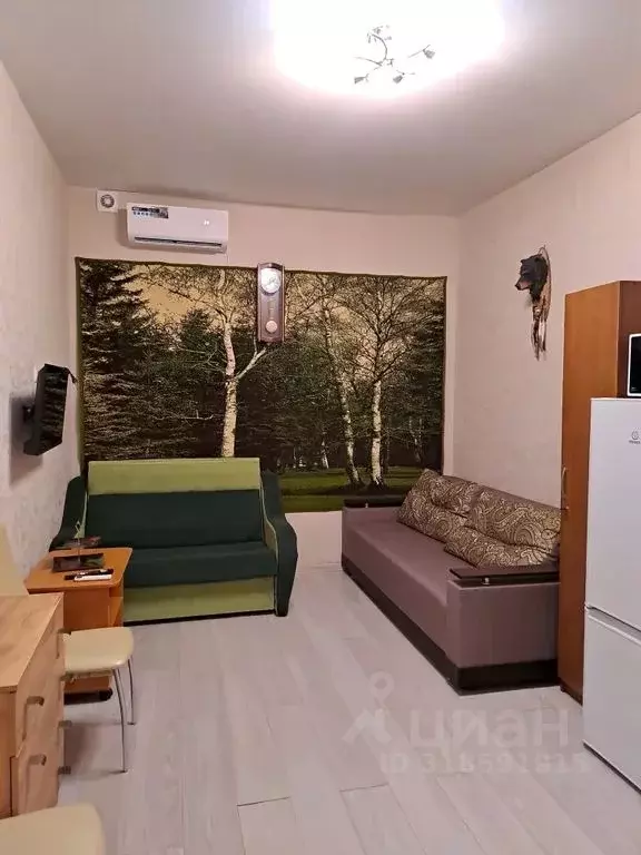 1-к кв. Краснодарский край, Новороссийск городской округ, с. Мысхако ... - Фото 0