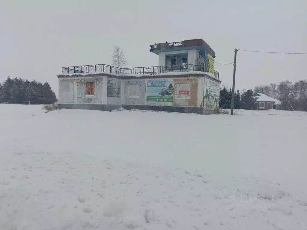 Помещение свободного назначения в Омская область, Таврическое рп ул. ... - Фото 1