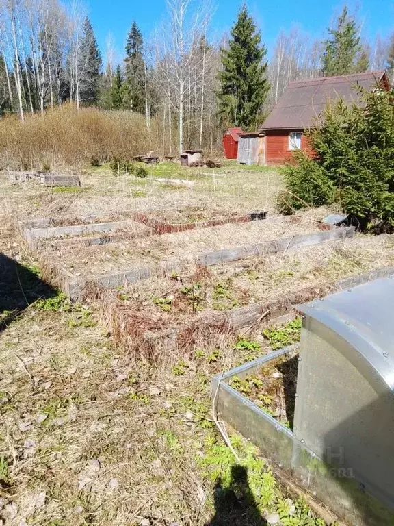 Дом в Ленинградская область, Выборгский район, Советское городское ... - Фото 0