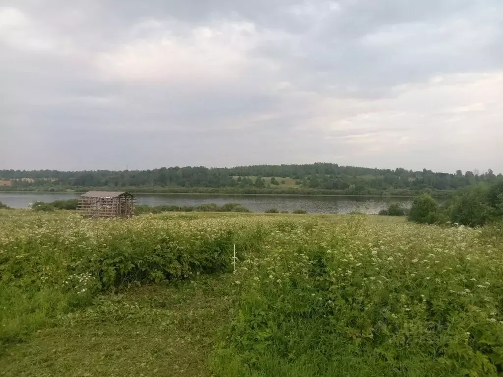 Участок в Новгородская область, Новгородский район, Трубичинское ... - Фото 2