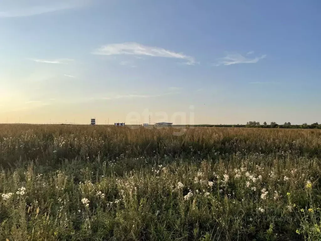 Участок в Мордовия, Саранск  (10.0 сот.) - Фото 1