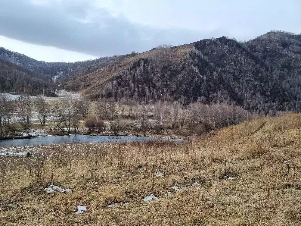 Участок в Алтай, Шебалинский район, с. Мыюта Трактовая ул. (15.0 сот.) - Фото 0