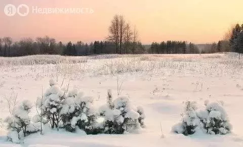 Участок в Иркутский муниципальный округ, деревня Новолисиха, посёлок ... - Фото 0